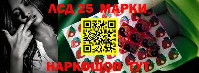 ешки Бердск