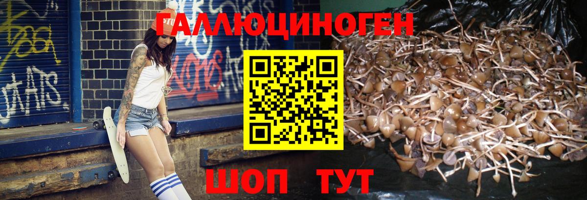 Галлюциногенные грибы MAGIC MUSHROOMS  Вход с VPN  Галлюциногенные грибы Magic Shrooms  Владикавказ 
